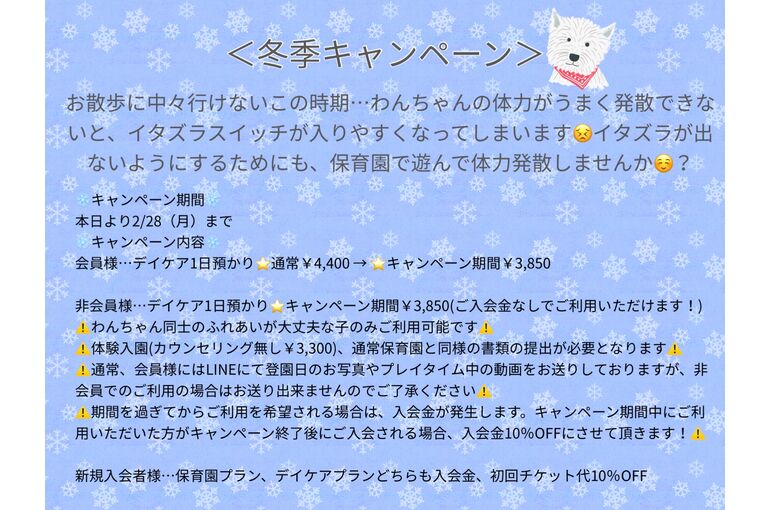 冬季キャンペーン
